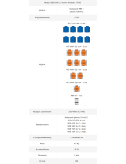Rozdzielnica budowlana ERB 250A1 - dane