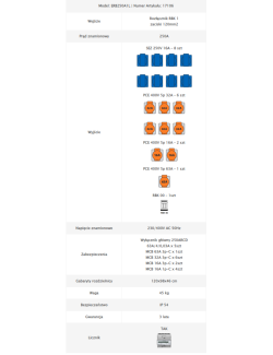 Rozdzielnica budowlana ERB 250A1L - dane